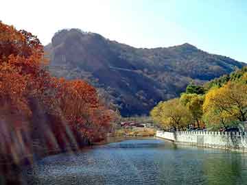 新澳天天开奖资料大全旅游团，龙涎香的价格